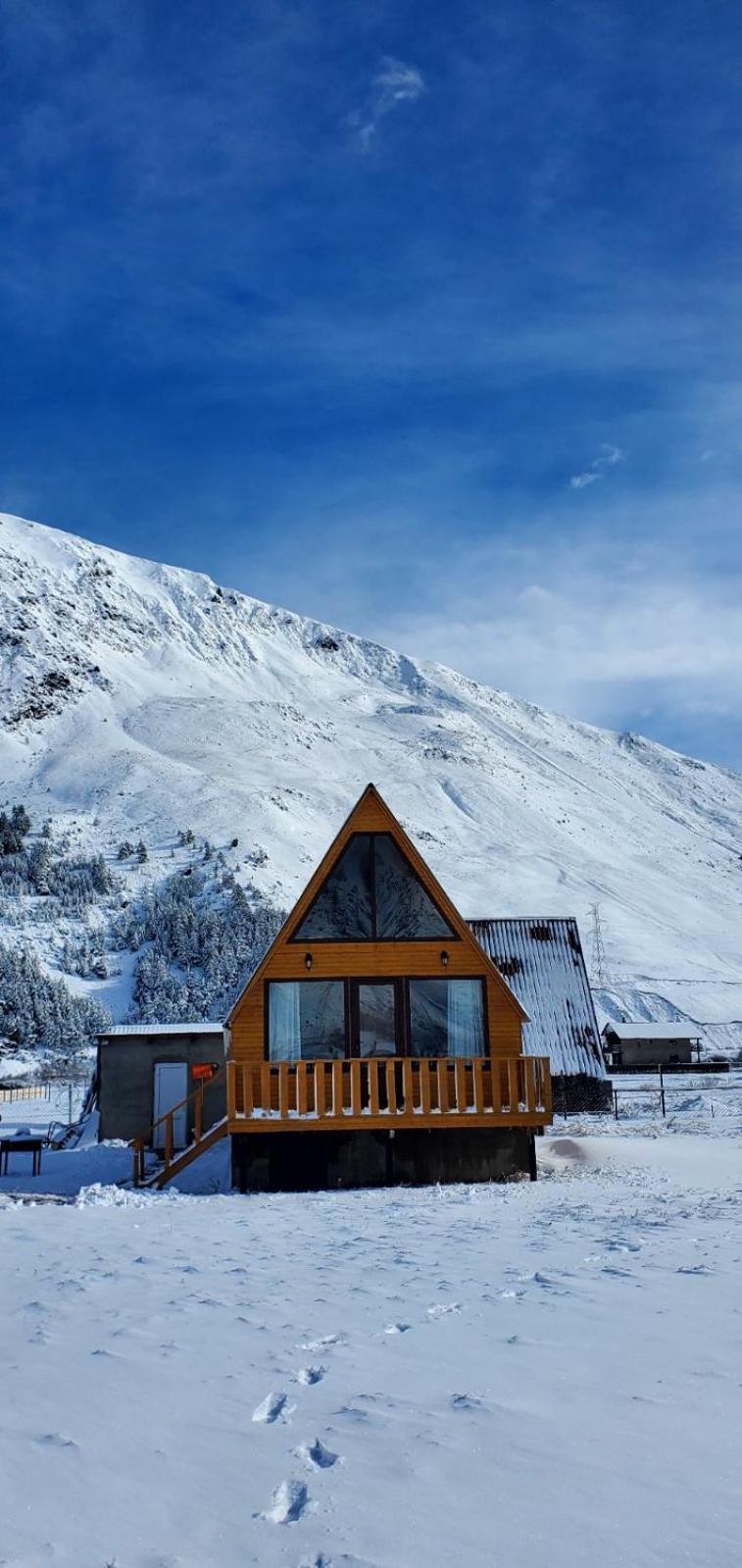 הוילה Mountain Hut In Kazbegi מראה חיצוני תמונה